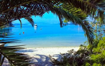 Apartments Villa Palma Čiovo