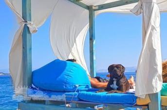 Apartments Zdravka Crikvenica